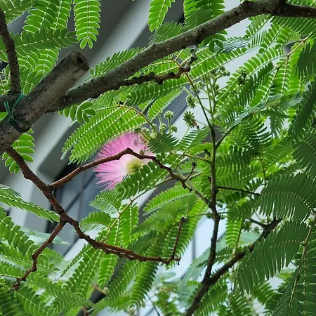 Wohnen Im Industriedenkmal Mit Dachterrasse Apartament *