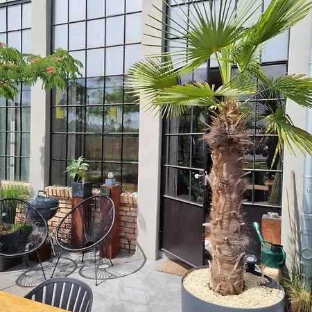 Wohnen Im Industriedenkmal Mit Dachterrasse *