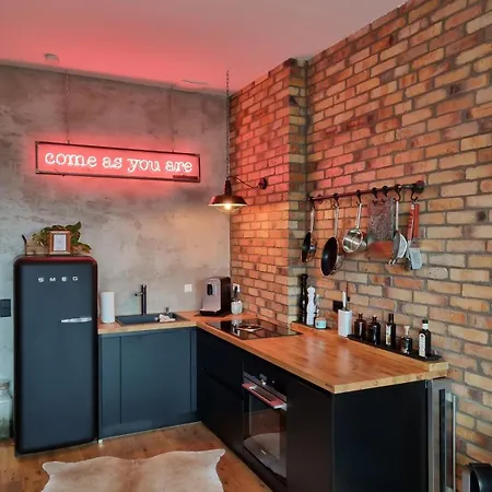 Wohnen Im Industriedenkmal Mit Dachterrasse Apartament