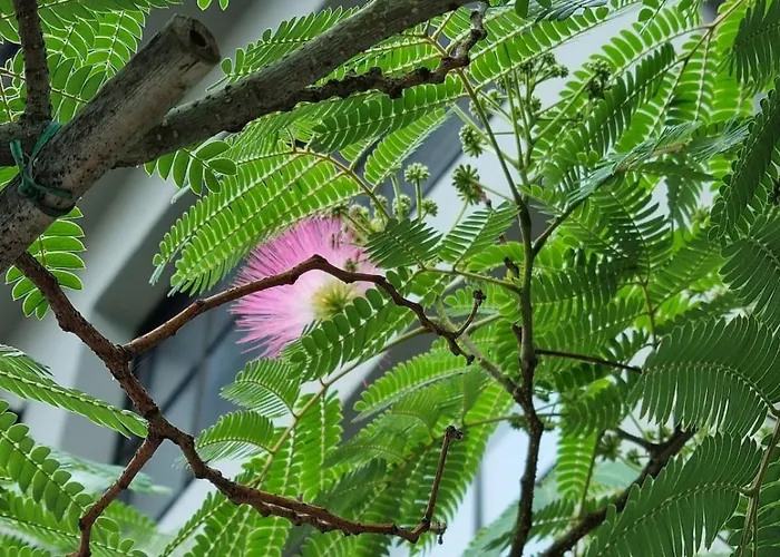 Wohnen Im Industriedenkmal Mit Dachterrasse Apartamento *
